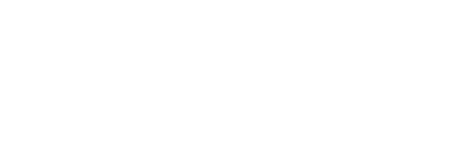 Vision Dash Logo
