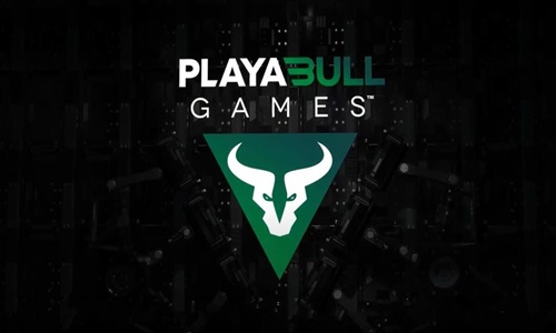 Playa3Bull Banner